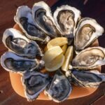 oyster benefits explained succinctly