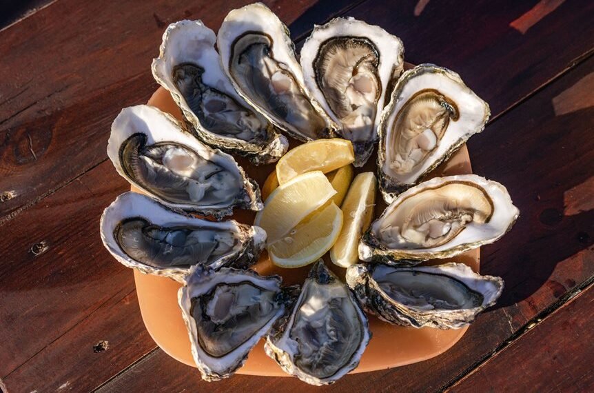 oyster benefits explained succinctly
